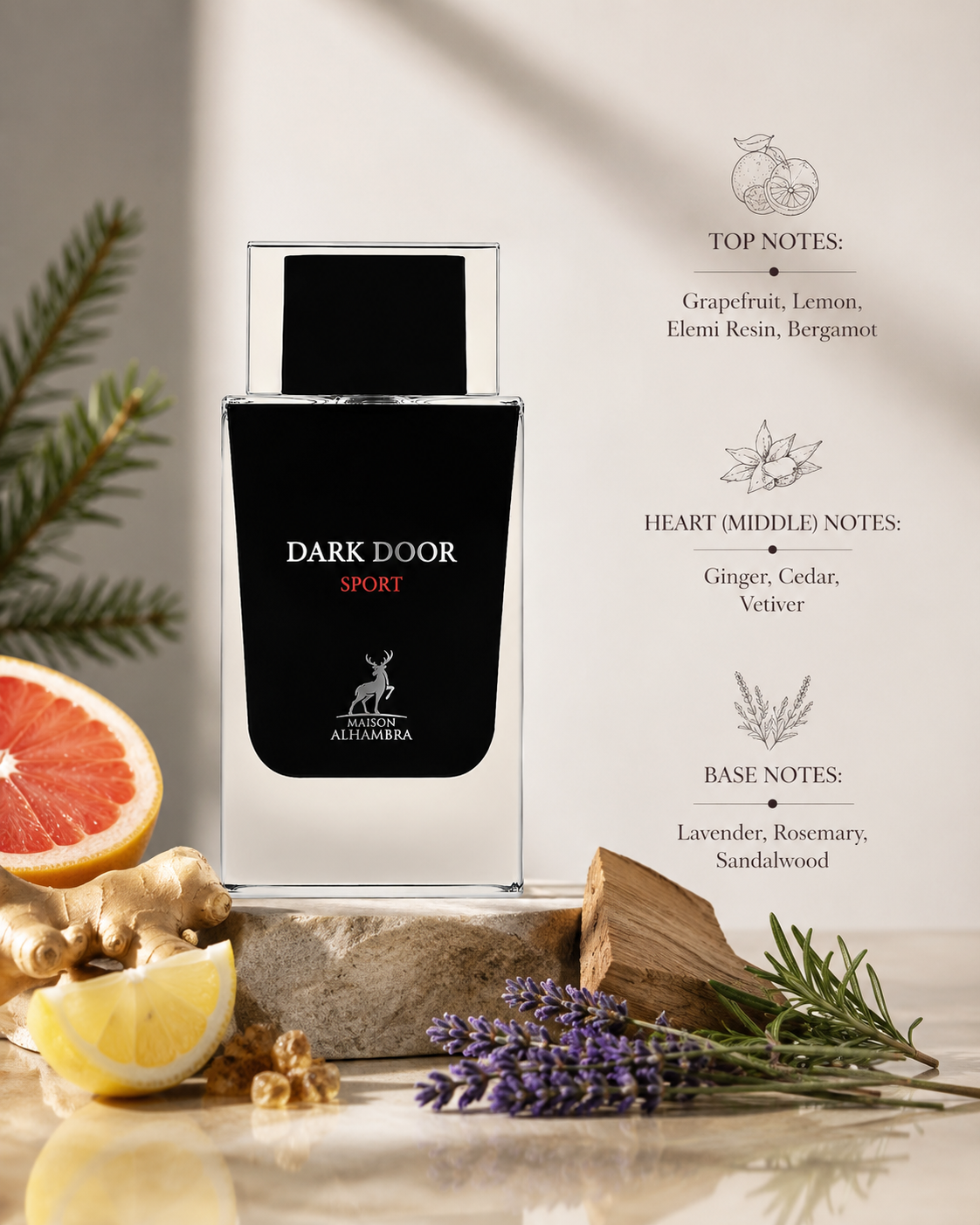 Maison Alhambra Dark Door Sport fragrance displayed with grapefruit, lemon, bergamot, ginger, cedar, vetiver, lavender, rosemary, sandalwood, and fragrance notes on a bright natural stone background.